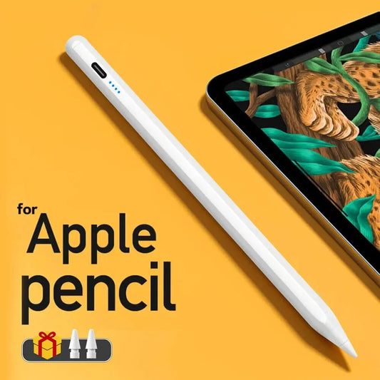 Apple Pencil Stilo Compatibile,  Penna Stilo Magnetica  Ipad pro  Ricarica USB C